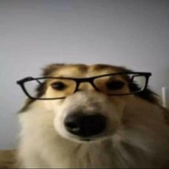 John_Decoy