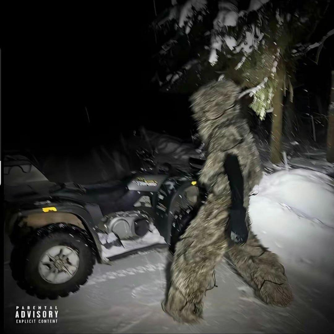 wosteck813 avatar