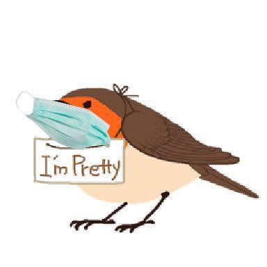 Player PootisBirb avatar