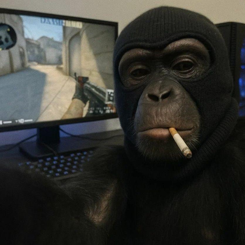 lHeJIenocTb avatar