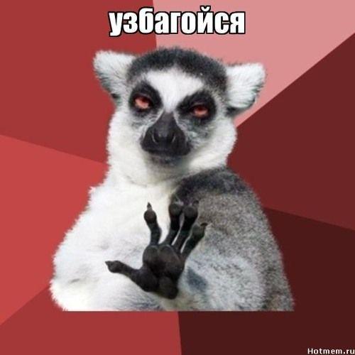 _Macktraher1 avatar