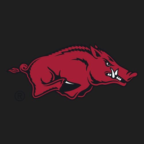 The Bombhogs
