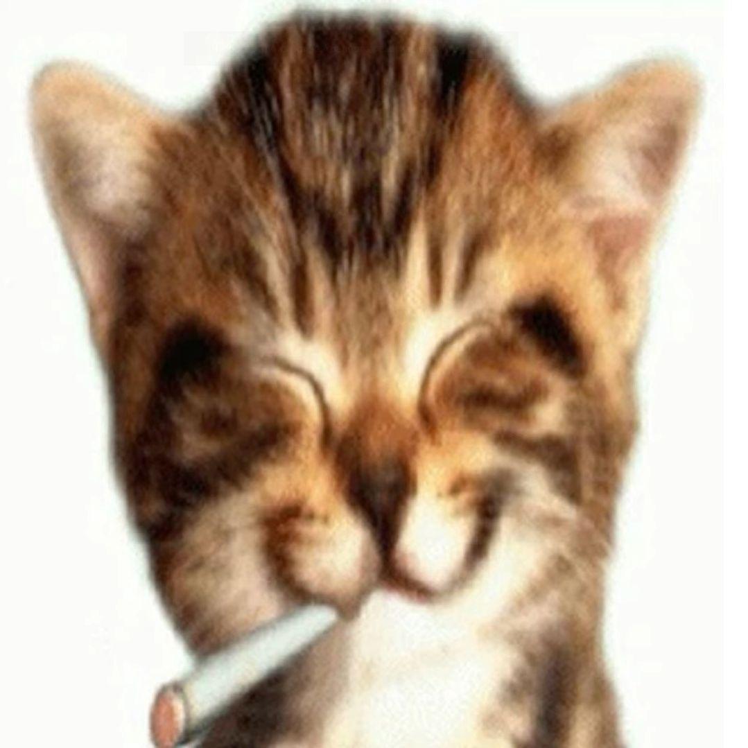 -s0lyarAa avatar