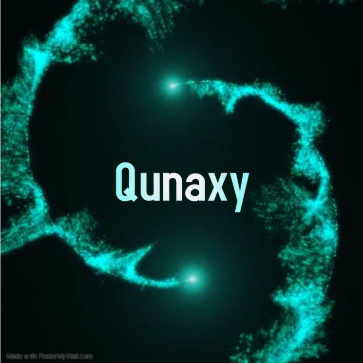Player Qunaxy avatar