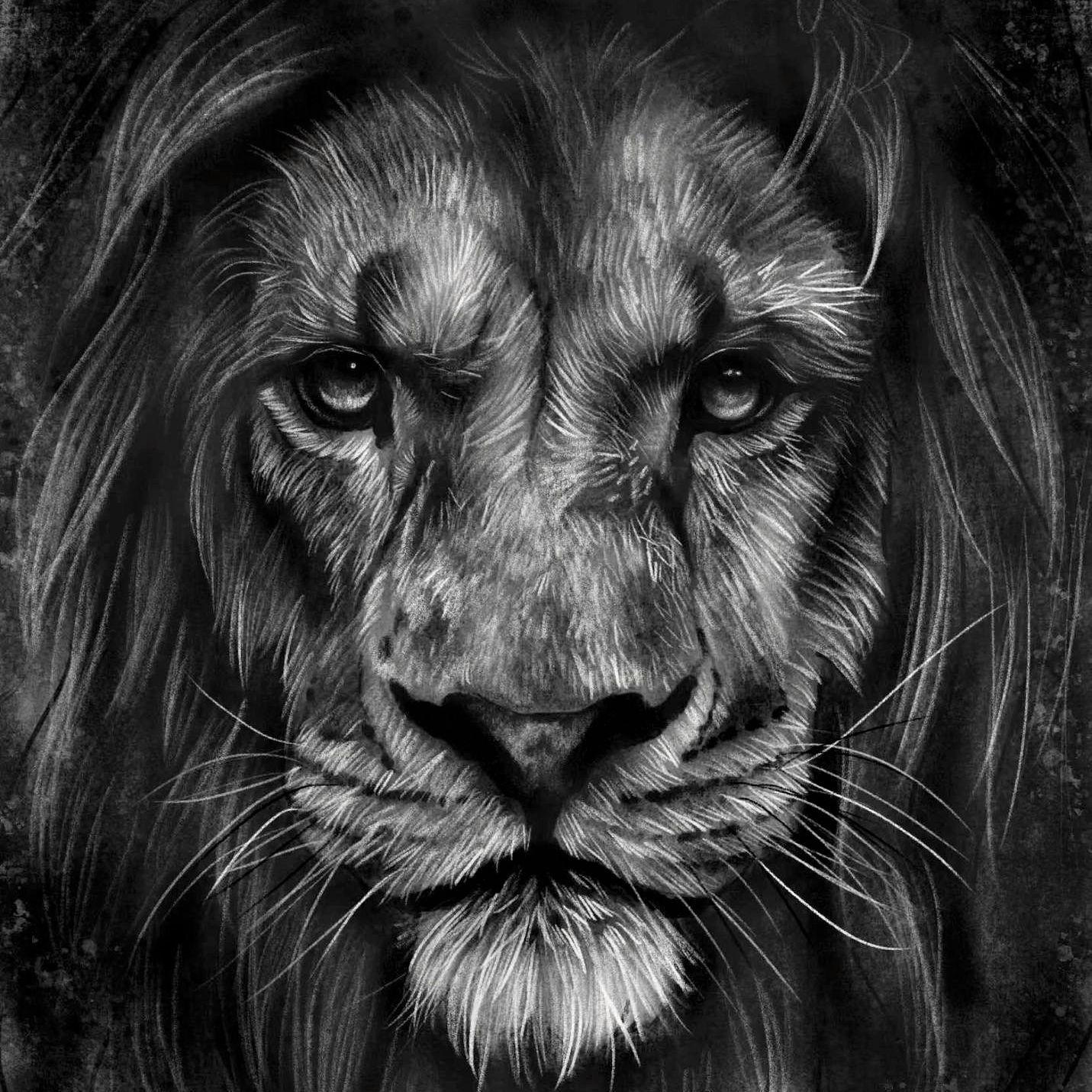 shok100 avatar