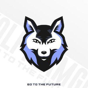 WOLFTEAMGUYS AC