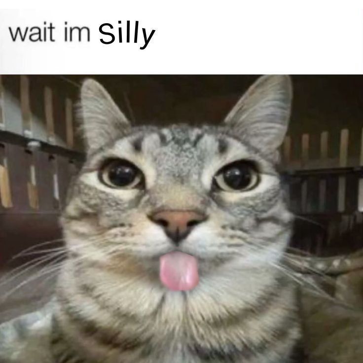 Pikaczo