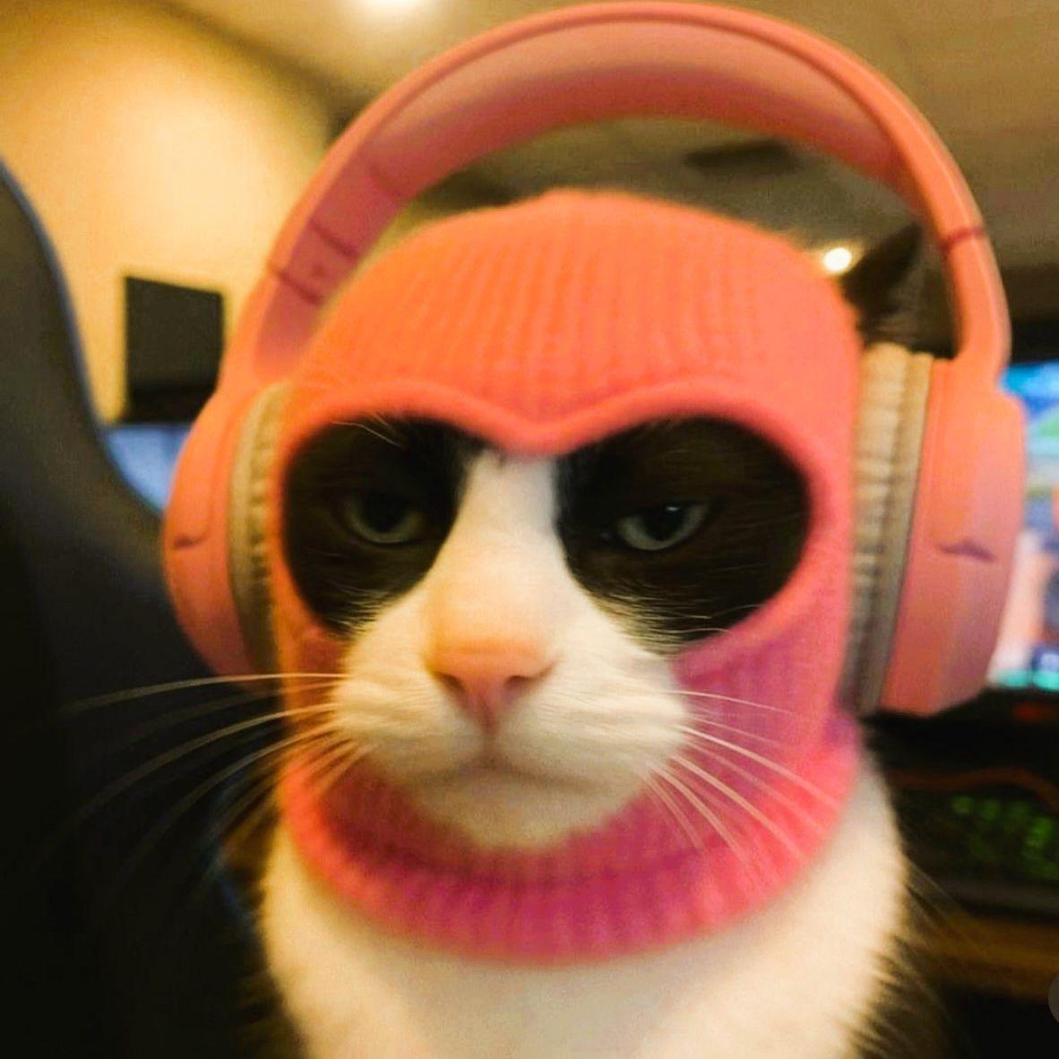Mr_kefir_ avatar