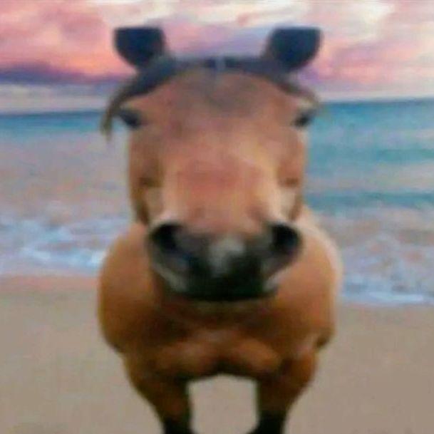 xKeRo avatar