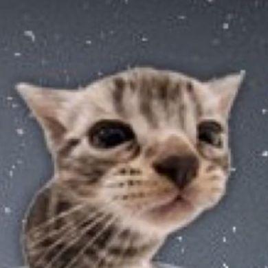 NoirCSGO avatar