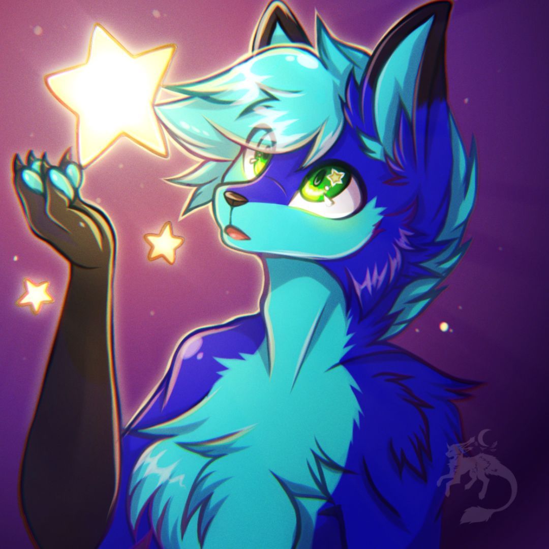 N1ckFox