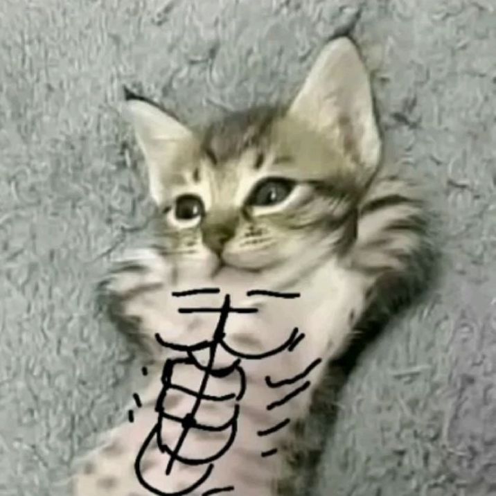 -MavR-