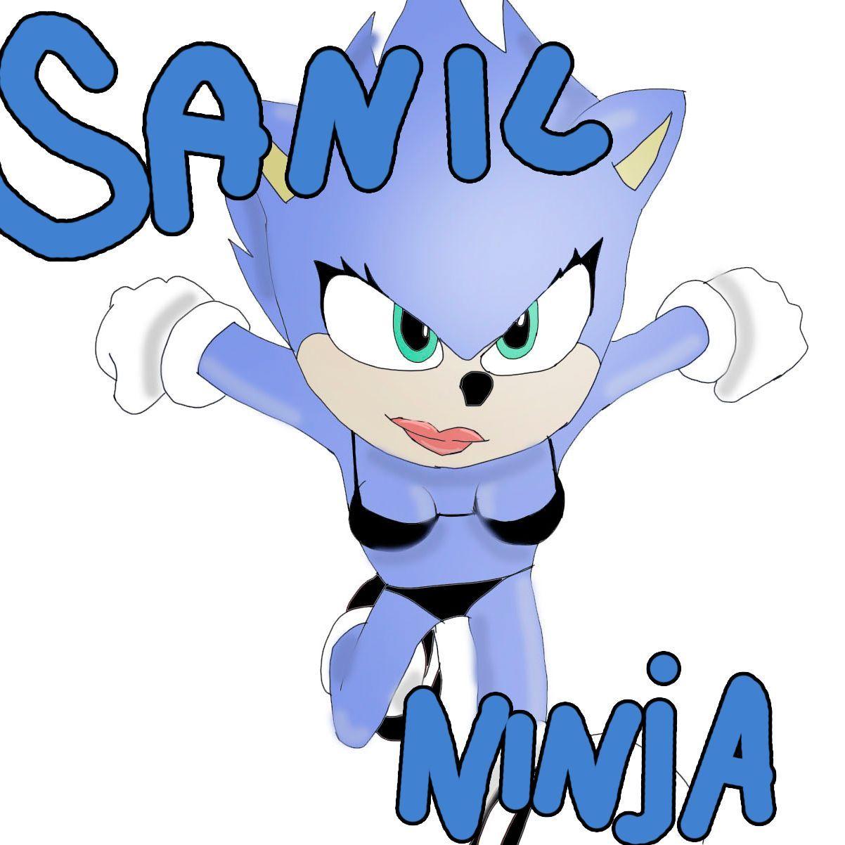 Player SanicNinja avatar