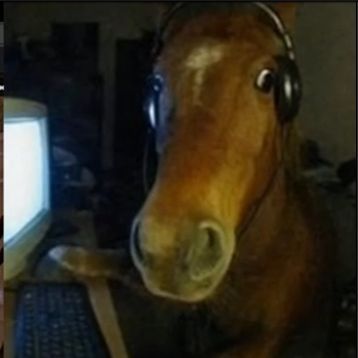777men1AllTY FACEIT avatar