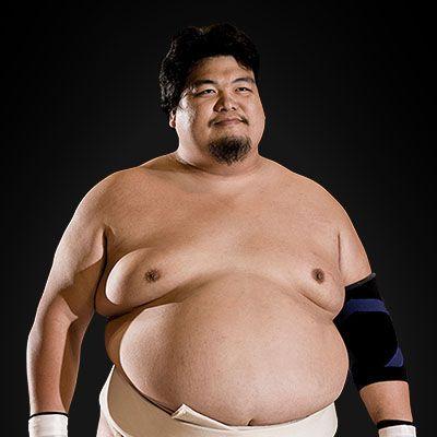 sumo--- avatar