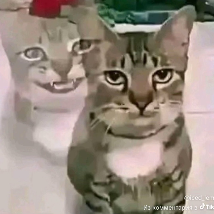 SaQ00