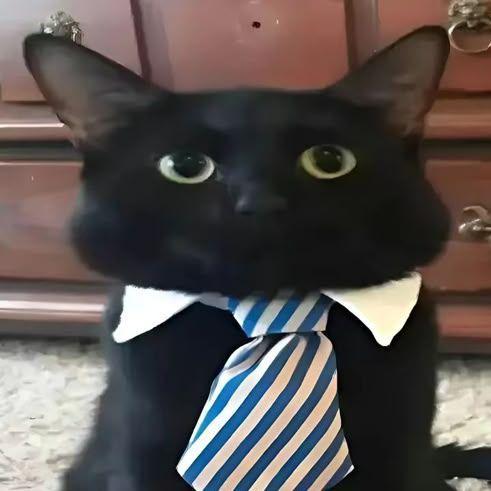 QuizIli avatar