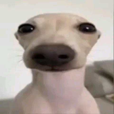 MaksWame avatar