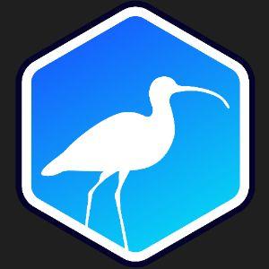 Curlews
