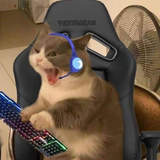 boludo01