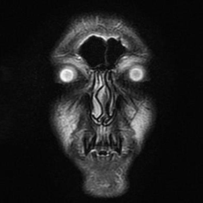 ASE77 avatar