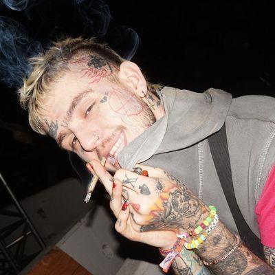 luwxq avatar