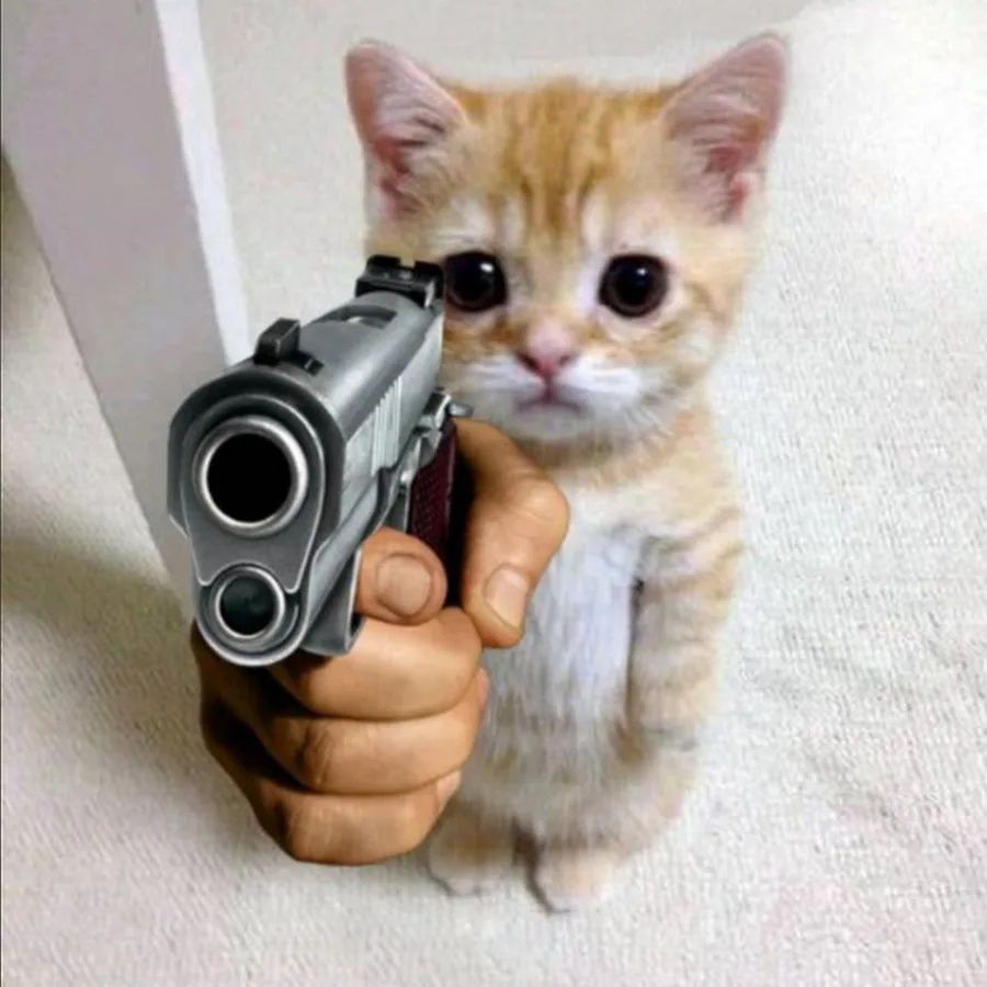 SoftGunS