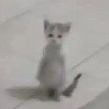 d0f4m1n_ avatar