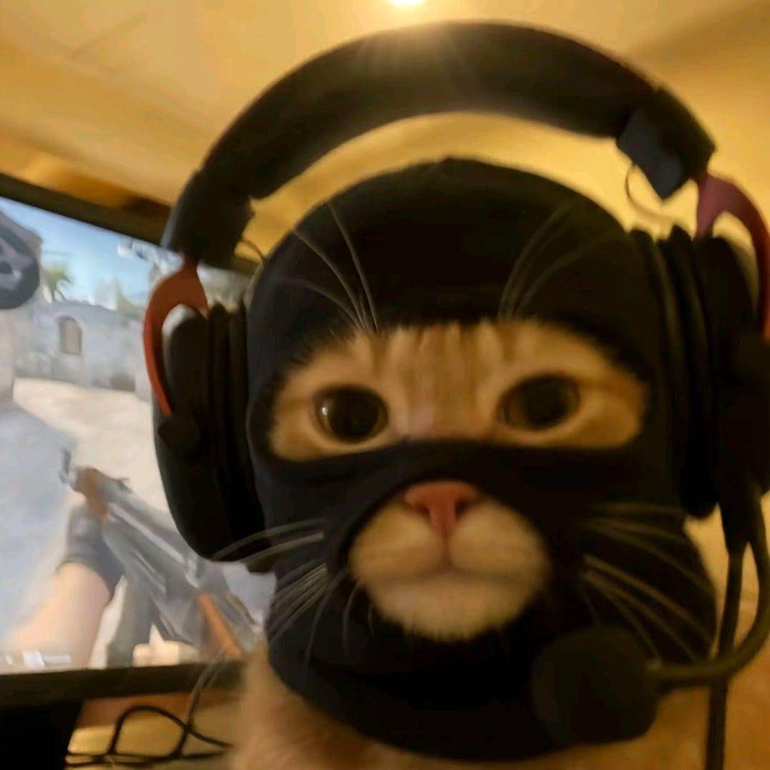 Ins4ne2 avatar