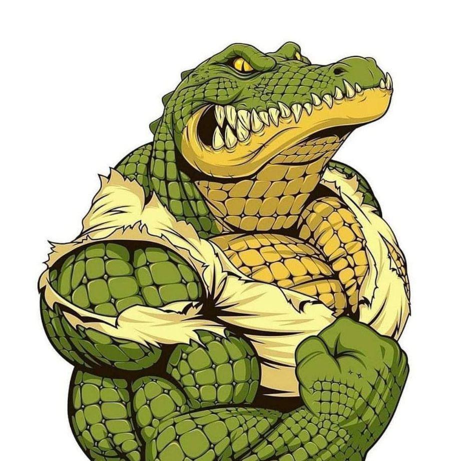 Player Alligator_07 avatar