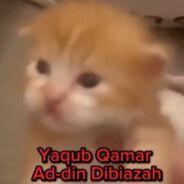 ozanhis