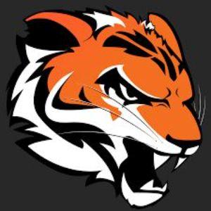 RIT D1 CSGO