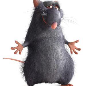 Ratatux