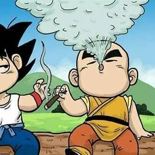 1sanao avatar