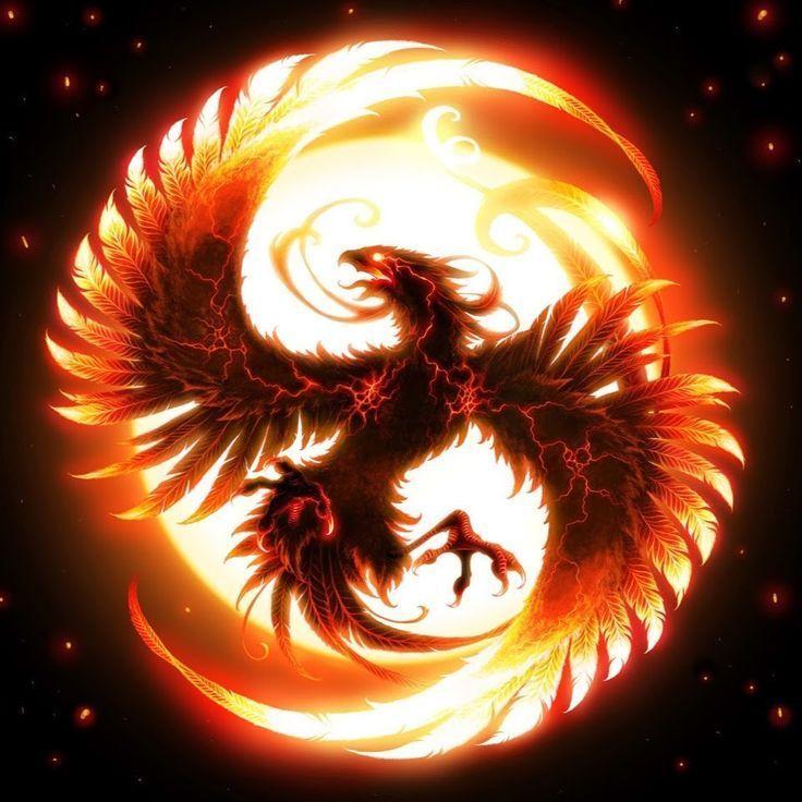 Phoenix59 avatar