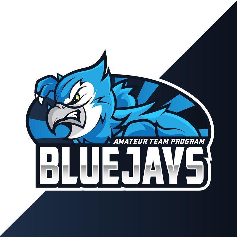 BLUEJAYS Train
