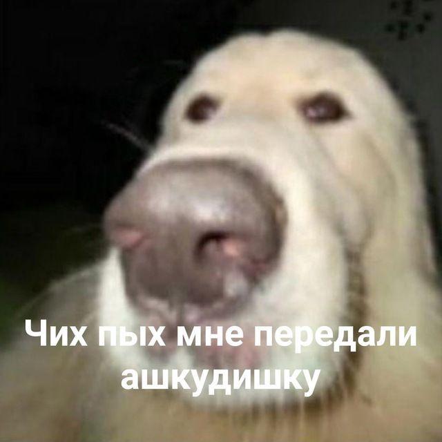Player VIP_Yaroslav avatar