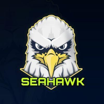 seahawk101bl avatar