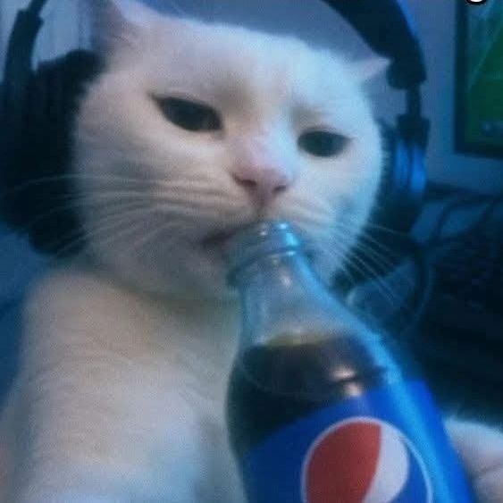 leloedm