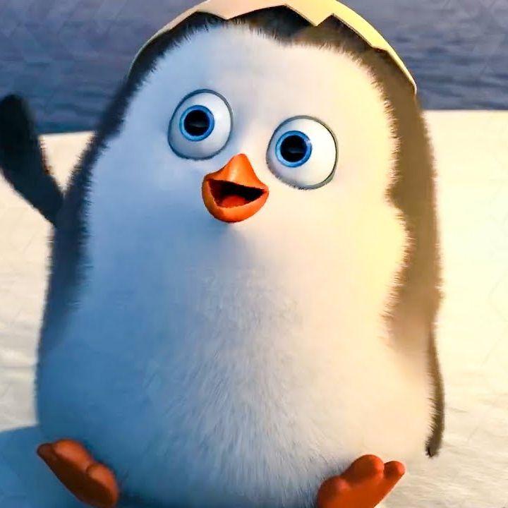 Penguininy
