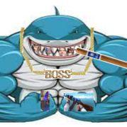 -shark-- avatar