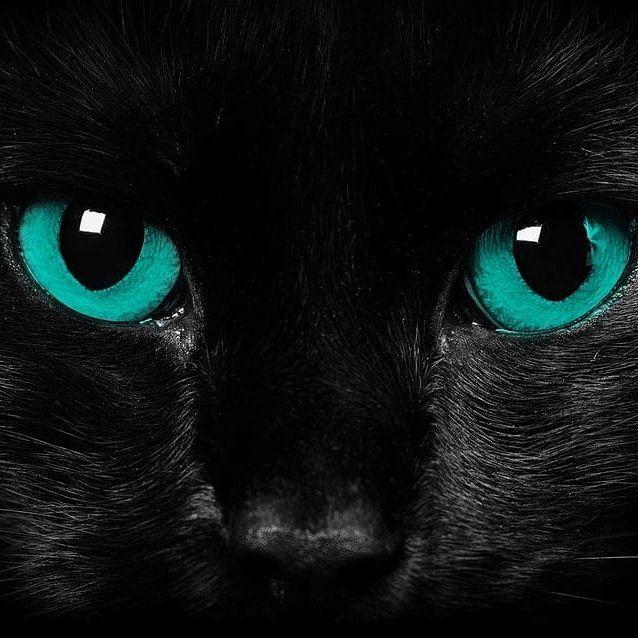 _ciAan avatar