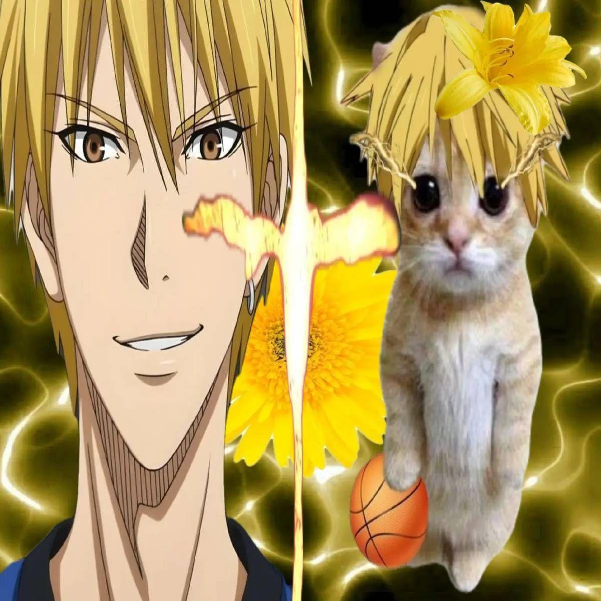 Sunsetttik avatar