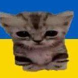 NonameOGamer avatar