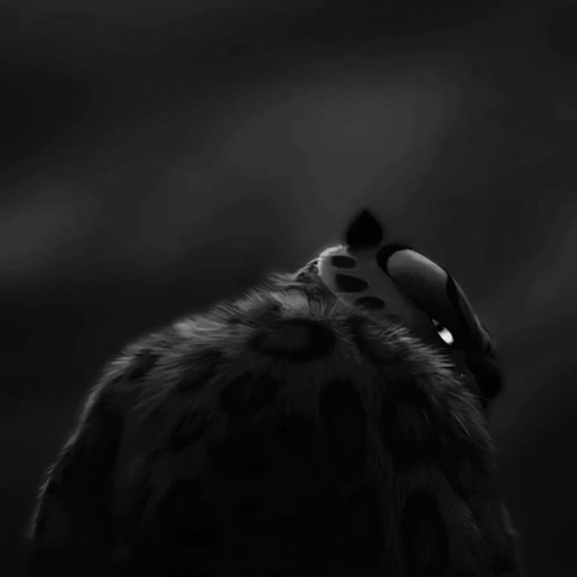 Slaske_ avatar