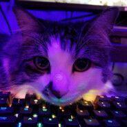 XaRiEl_ avatar