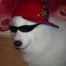 ZiggleZagg avatar