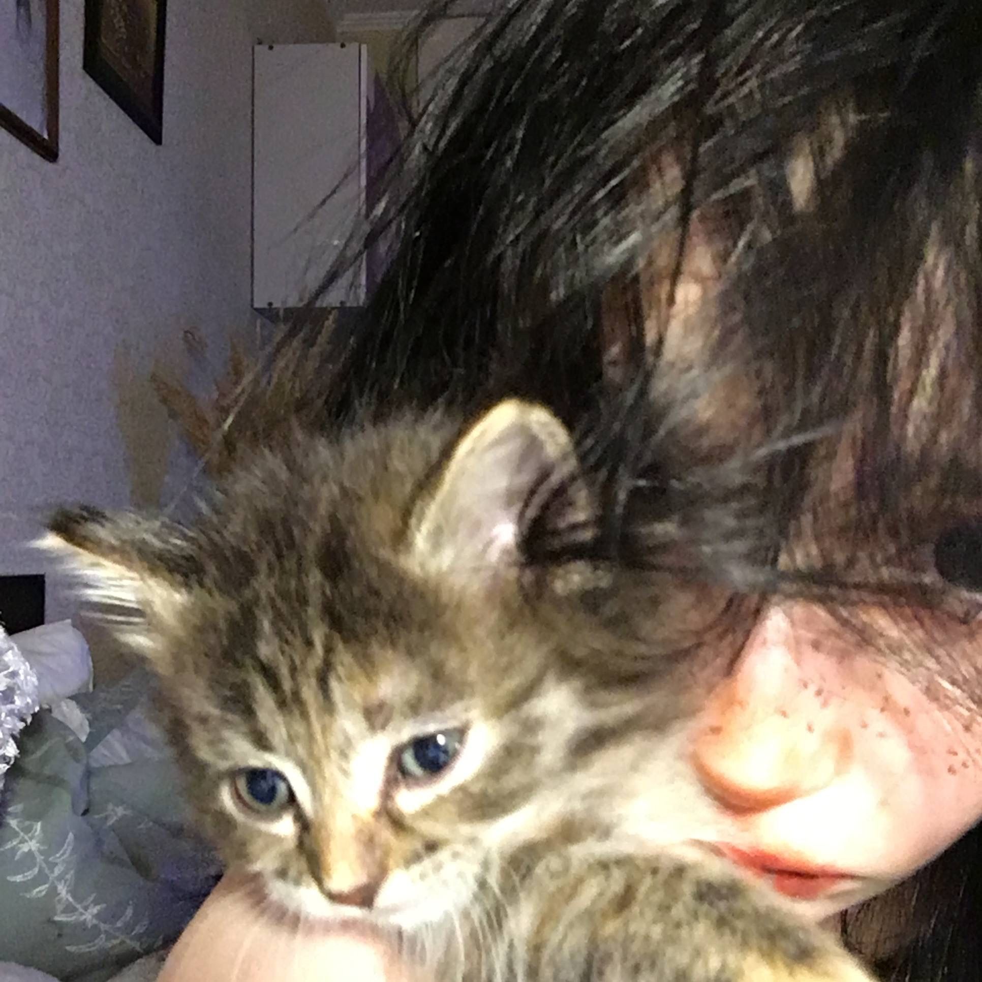 hellmoke