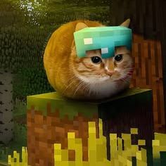 Kaizo_21