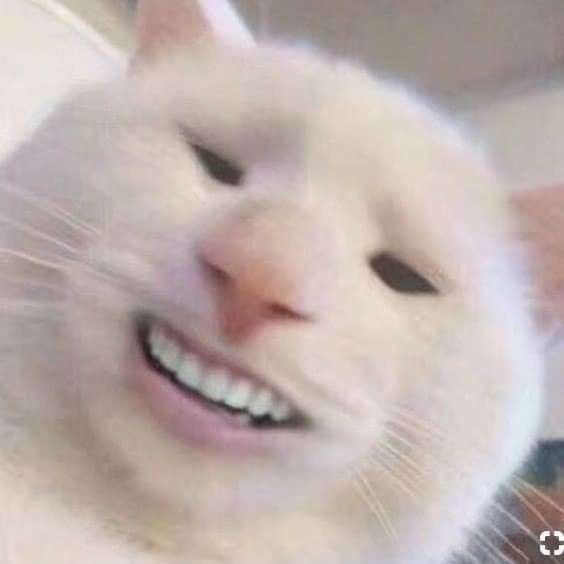 4raG1le